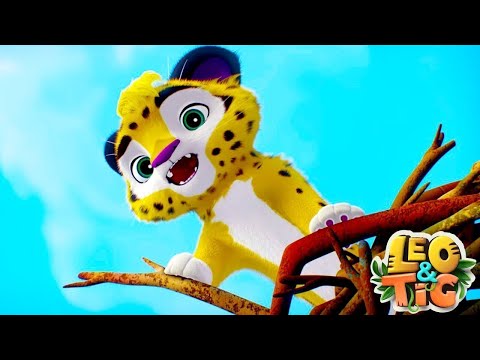 Leo y Tig 🐯🦁 | Un viejo amigo - Episodio 10 🔥 Super Toons TV Dibujos Animados en Español