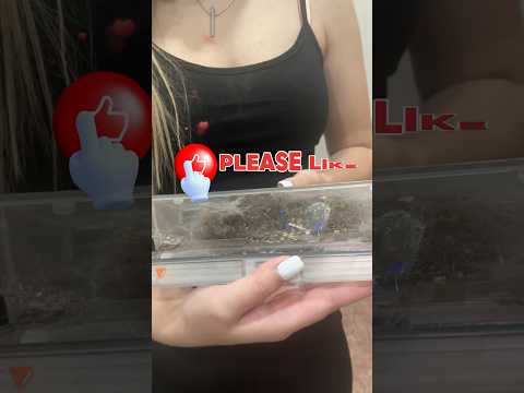 Уборка дома 🧹 тараканы😰#убирайсявместесомной #уборка #мамаблог #порядокнакухне #разхламление #fyp