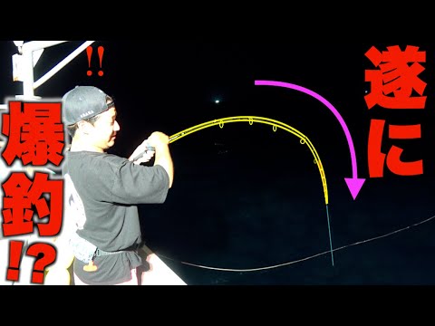 遂に来ました！！真夏の夜の爆釣劇！！【イカメタル】