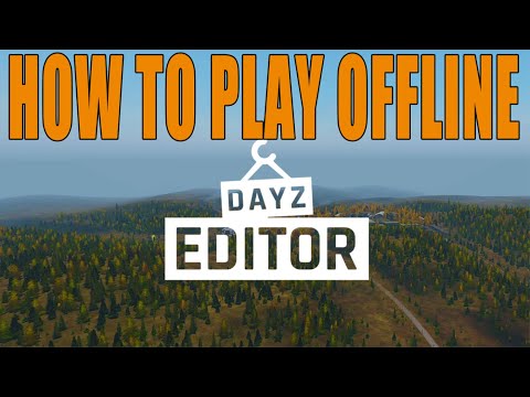 how to play dayz single player