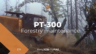 Vidéo - PT-300 - FAE PT-300 automoteur-sur-chenilles - Réduction de carburant et broyage forestier dans les montagnes de la Sierra Nevada (États-Unis)