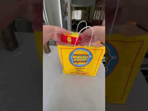 I Ordered MrBeast Burger