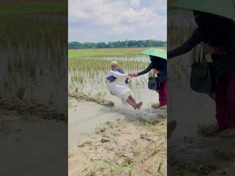 #যে_পাখি_আদর_বুঝে_