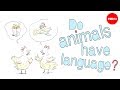 Animal Communication and Language
