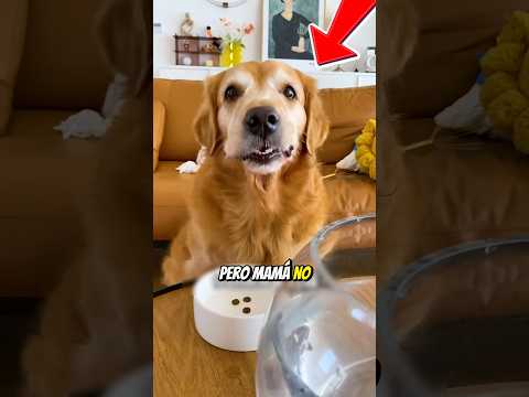 ¡Max se comió el pez de su madre! 🐟😱