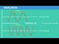 Exploring Wave Motion and Energy Transfer