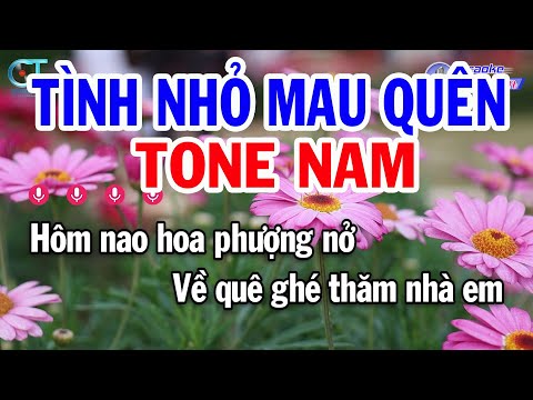 Karaoke Tình Nhỏ Mau Quên Tone Nam ( Dm ) Nhạc Sống Beat Mới | Karaoke Đồng Sen