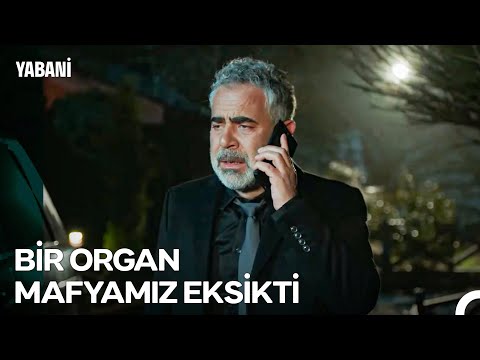 Taklacı Serhan #25: Yanlış Kararların Büyük Bedeli - Yabani