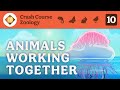 Animal Societies and Social Behaviors