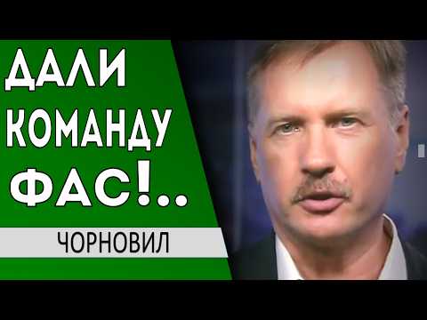 ..большая загадка... Ермак дал команду фас по Маску... Маск о Залужном - Тарас Чорновил // Аннексия