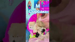 Mr. Cupcake. The Star! #vanessabednar #barbie #90s #funny #puppy