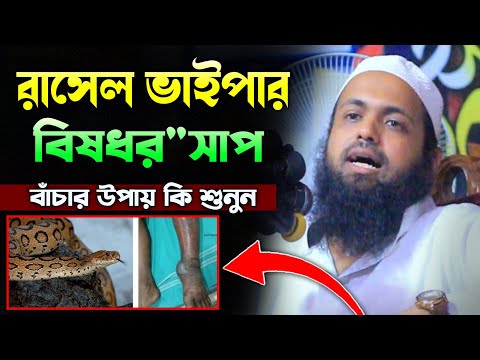 রাসেল ভাইপার" বিষধর"সাপ" বাঁচার উপায় কি শুনুন! আরিফ বিন হাবিব নিউ ওয়াজ ২০২৪ Arifbin Habib waz 2024