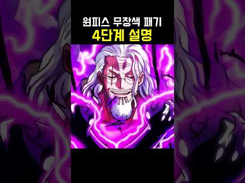 원피스 무장색 패기 4단계 설명