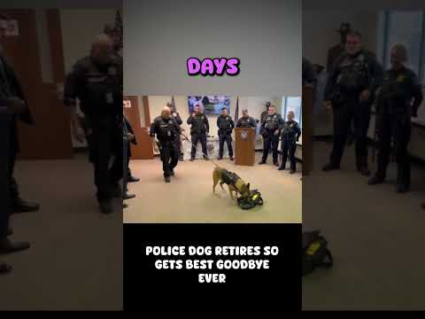 Police Dog gets Best Retirement Gift 🎁