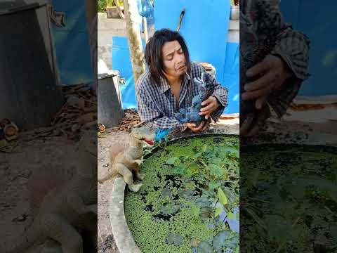 ลูกผมเป็นไดโนเสาร์ #ฟีดดดシ #funny