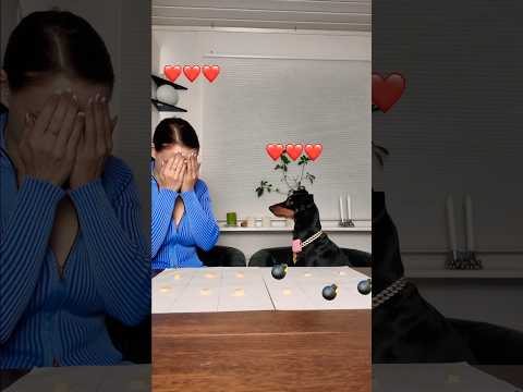 Playing a trending game with my dog🗿🗿