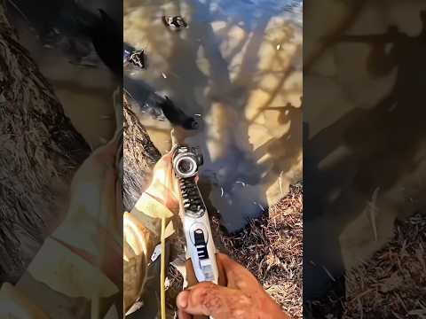 Безумная битва с🎯кабаном у воды🐗💥Оружие сломалось но я вернулся сильнее🔥2026#challenge#chase#hunting