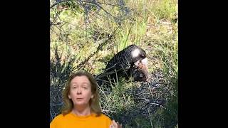 Repairing Potholes To Help Save An Endangered Species - REALLY?? Exciting Event Coming Soon!!