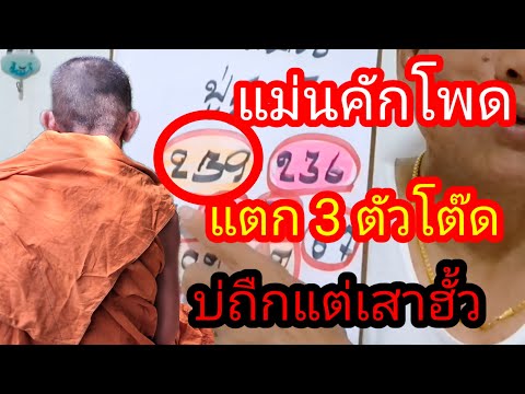 ปู่ชูนาวัง 239 แตก 3 ตัวโต๊ด