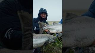 КАМЧАТКА. Кто поедет с нами?