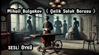 Mihail Bulgakov ● ÇELİK SOLUK BORUSU { ŞÖMİNE SESİ EŞLİĞİNDE SESLİ ÖYKÜ } #seslikitap