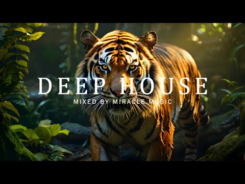 Deep Chill Mix 2024 🌴 Dj Goja Best Hits 🌴 Mixed by Miracle Music