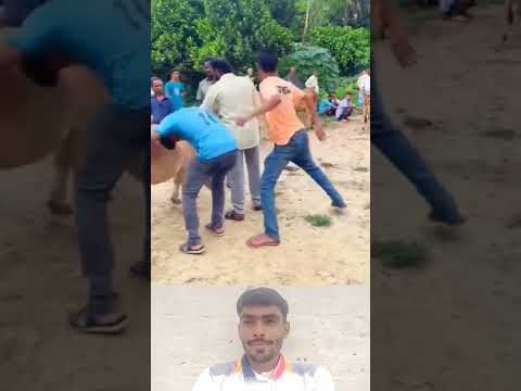 Funny video part 152😁😂 #shorts #shortsvideo #funny #fails