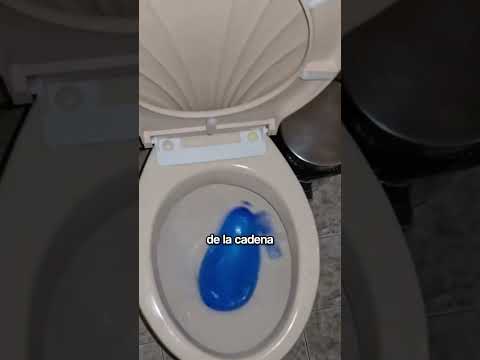 El Error Más Extraño con un Inodoro y un Pez 🚽🐟