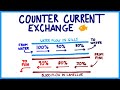 Gas Exchange in Fish and Humans