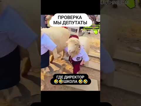 Думаю думаю ничего не придумаю🤣Потом придумал,I think it's funny#@100HomemadeGhareluNuskhe