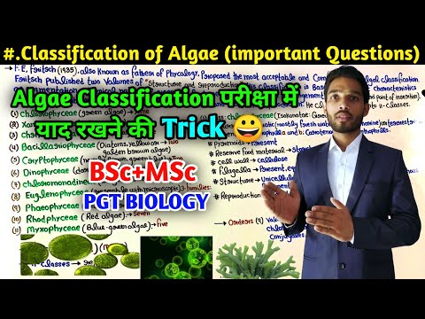 Classification of Algae || Trick to Remember Classification of Algae || BSc || MSc || PGT Biology