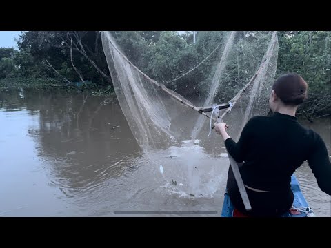 1620 / Xúc cá mè vinh nổi trên sông