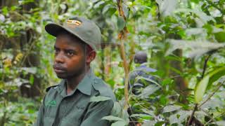 YouTube video thumbnail: How Communities Are Earning From Tourism, Protecting Forests