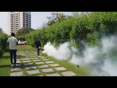 Surat Pest Control (Pest Control) YouTube video thumbnail