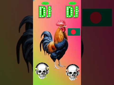 Dj Murgi #dj dj gan #djantu #Skantu #viral #shorts #bangladesh #india #youtubeshorts