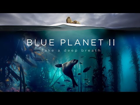 stream blue planet