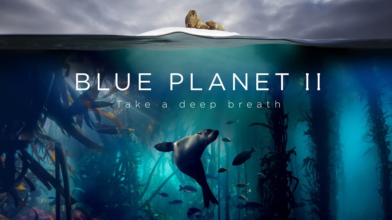 Blue Planet II: The Prequel