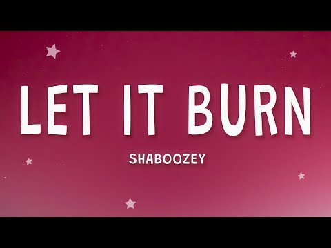 Shaboozey - Let It Burn (Lyrics)