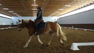 Hannah and Sunny Dressage Clinic Equine Affaire 2022