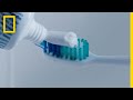 Dental Hygiene and Material Alternatives