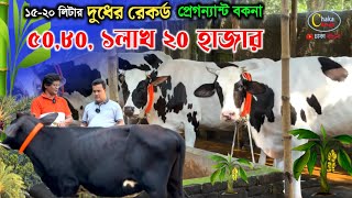 এই বকনা দিয়ে খামার করলে আপনি লাভবান হবেন! milking cow farm in Bangladesh