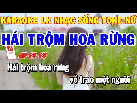 Karaoke Nhạc Sống Liên Khúc Tone Nữ | Hái Trộm Hoa Rừng – Đừng Nói Xa Nhau | Karaoke Thanh Hải