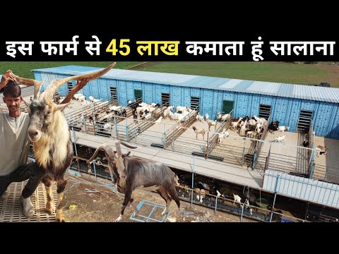 गांव में रहकर Goat Farming से लाखों कमाता युवा | 2 मंजिला Goat Farm | Goat Farming | Exotic Goats