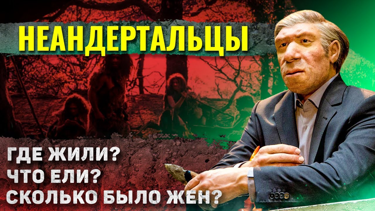 Как жили неандертальцы?