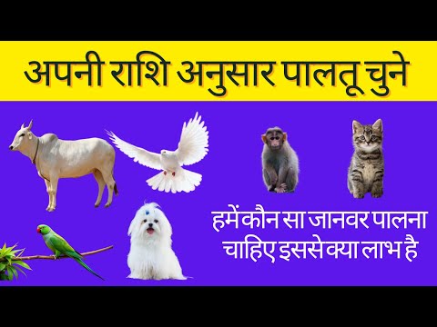 राशि अनुसार कौन सा जानवर पालना चाहिए इससे क्या लाभ है