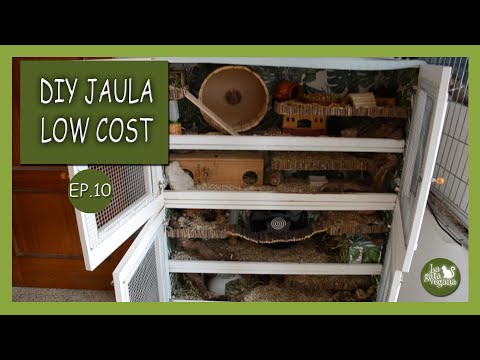 JAULA CASERA LOW COST PARA HÁMSTERS  EP 10 | ÚLTIMO CÁPITULO, ASÍ SE QUEDÓ LA JAULA FINALMENTE