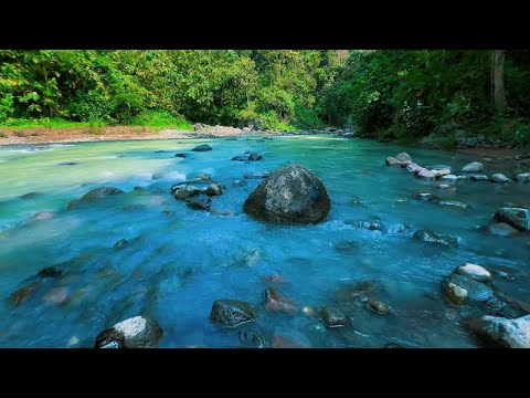 People Are Using This River Sound to Beat Insomnia – Try It Tonight