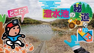 【探索ラン#83】澄水池の秘道をゆく｜神戸 西区水谷