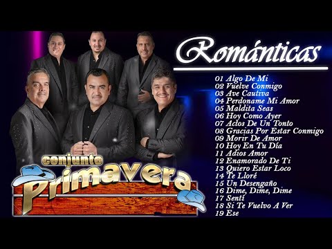 CONJUNTO PRIMAVERA ÉXITOS ROMÁNTICOS SUS MEJORES CANCIONES ~ CONJUNTO PRIMAVERA MIX COMPLETOS