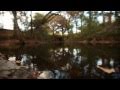 Waller Creek Snake Tracking Project
